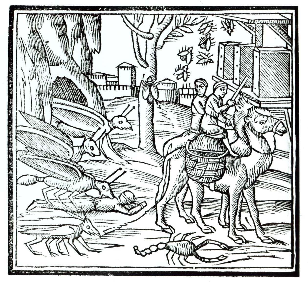 Ruton esitys, 1572 tekijältä English School