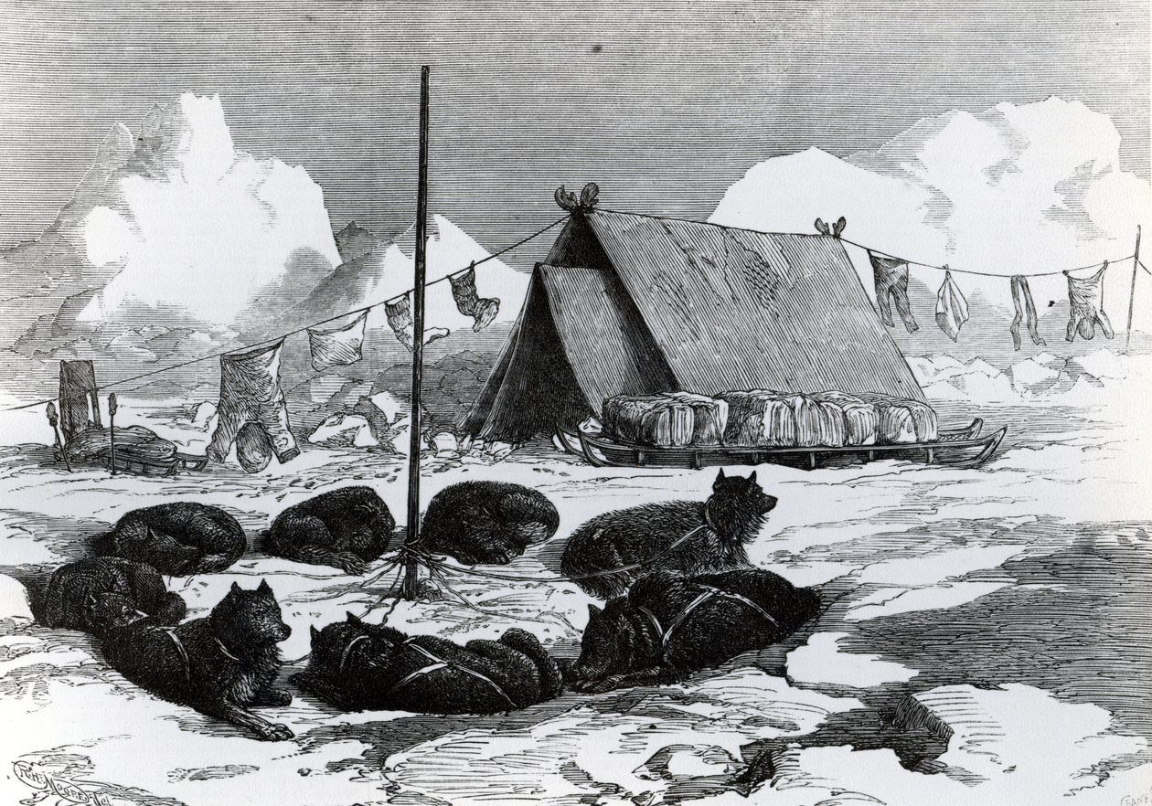 Rekimatkailu: Koirien kiinnitys telttailussa, 1876 tekijältä English School
