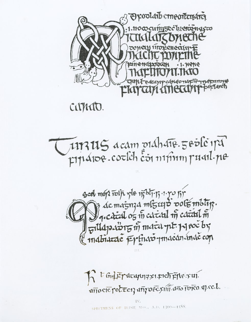 Irlantilaisia käsikirjoituksia, noin 1300-1588. tekijältä English School