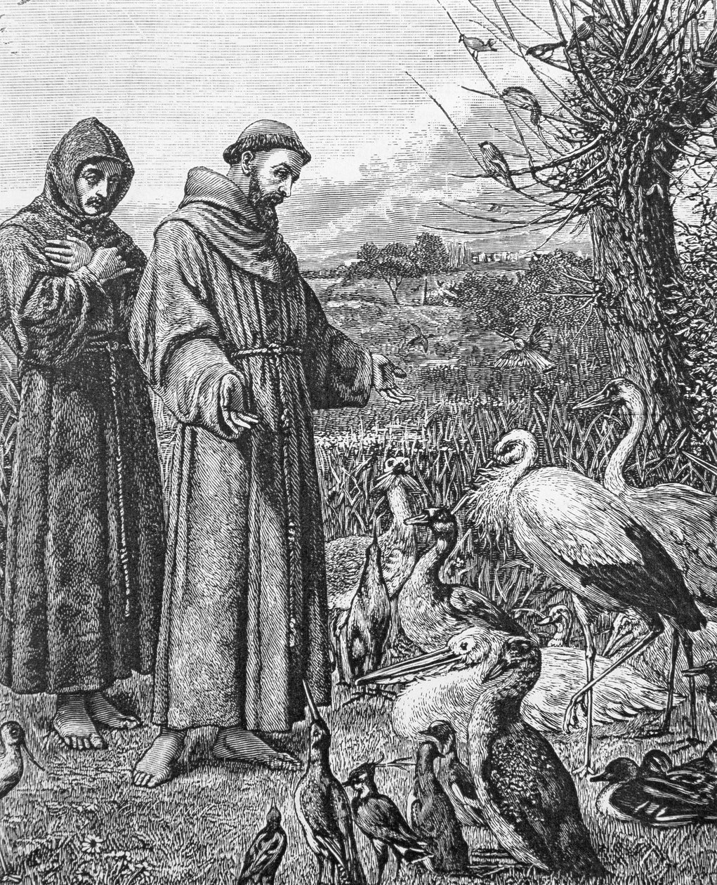 Pyhä Franciscus Assisilainen (1182-1226) tekijältä English School