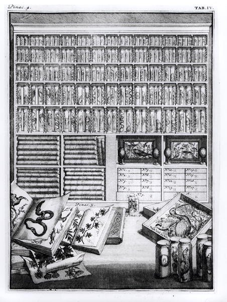 Taulukko 4 Levin Vincentin (1658-1727) Elenchus Tabularumilta 1719 tekijältä English School