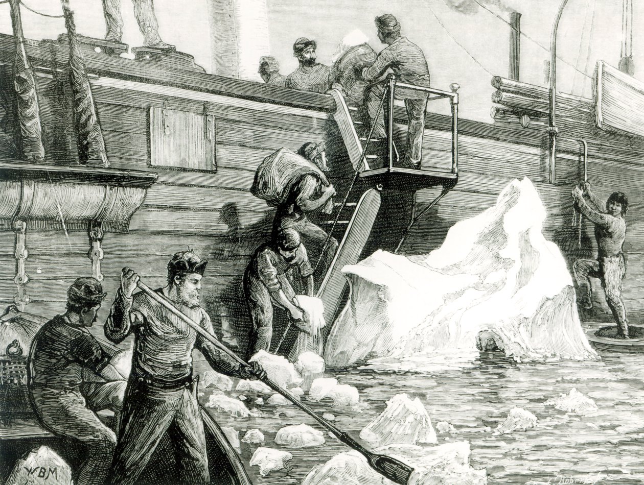 Arktinen tutkimusretki jäävuoresta kastelemassa, Graphicista, 11. syyskuuta 1875 tekijältä English School