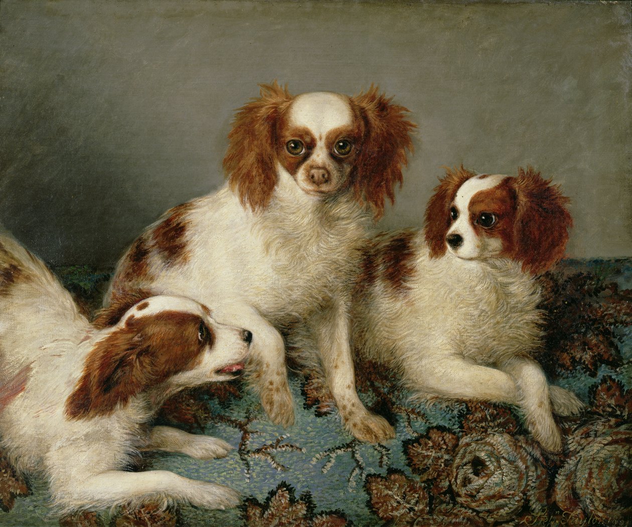 Kolme Cavalier King Charles -spanielia matolla tekijältä English School