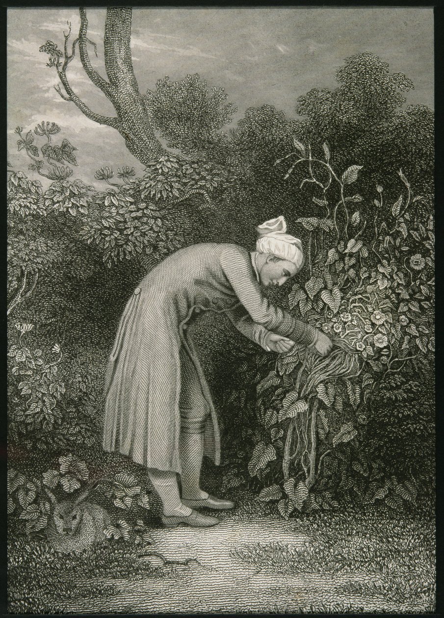 William Cowper (1731-1800) tekijältä English School