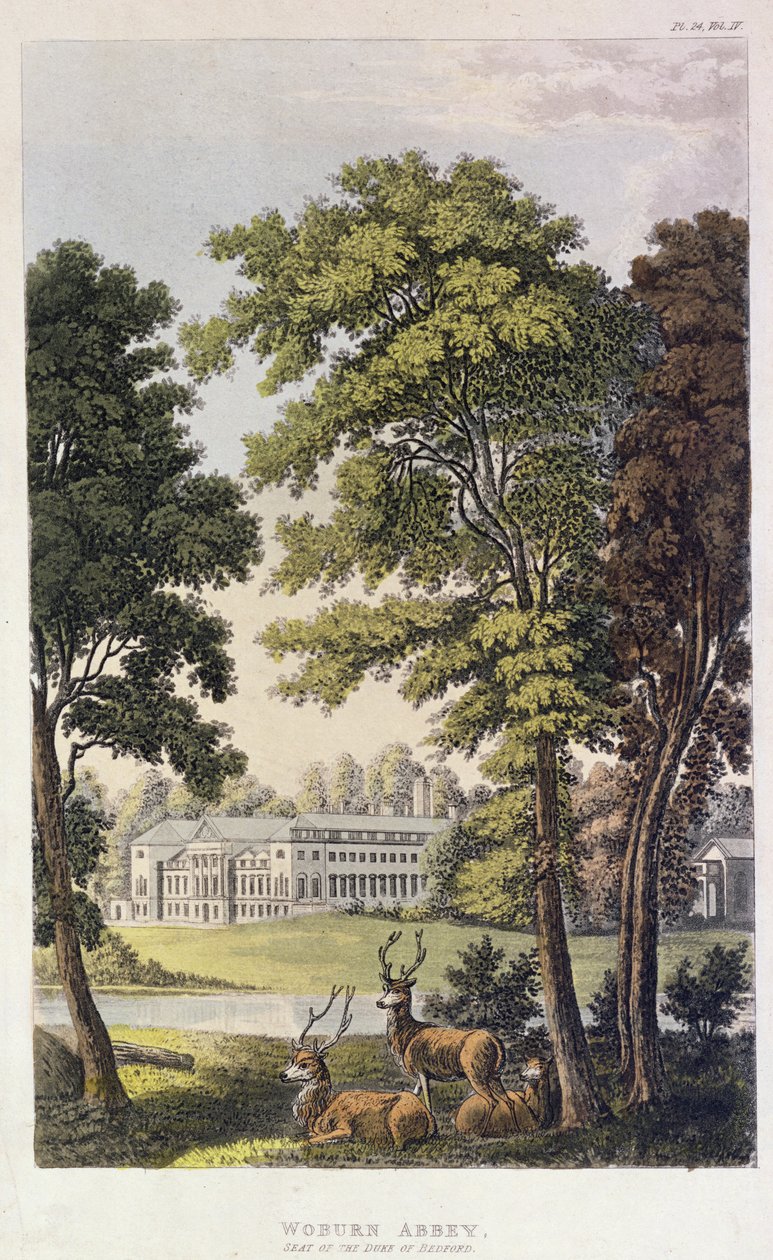 Woburn Abbey, Ackermannin "taidevarasto", 1828 tekijältä English School