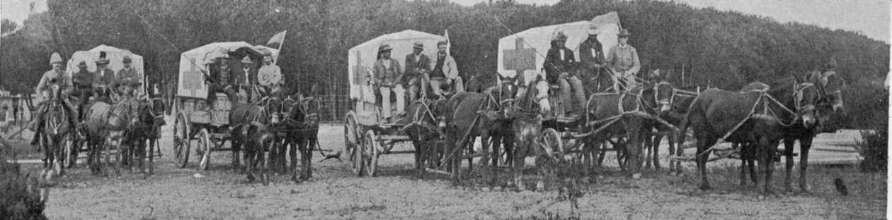 Ambulanssivaunut lähtevät Ruttosairaalasta Kapkaupungissa, kuva The King, 25. toukokuuta 1901 tekijältä English Photographer