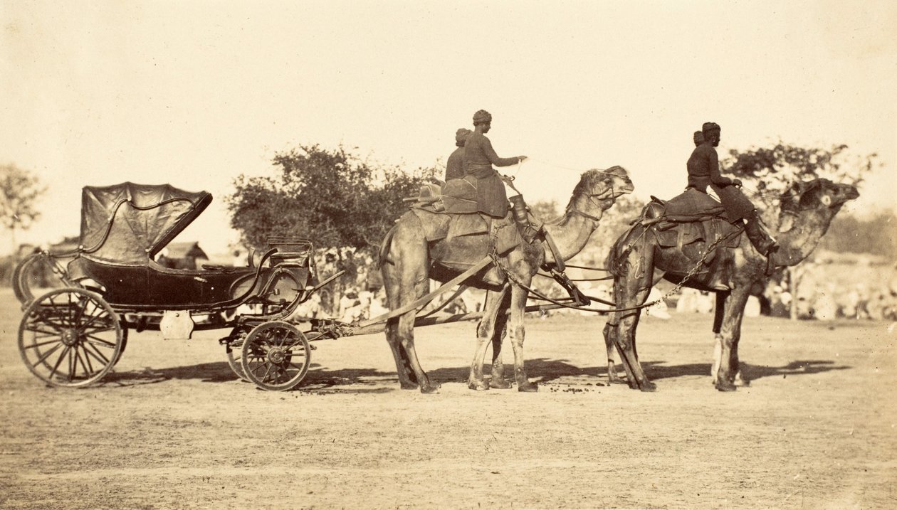 Kamelivaunu, n. 1860 (syväpaino) tekijältä English Photographer