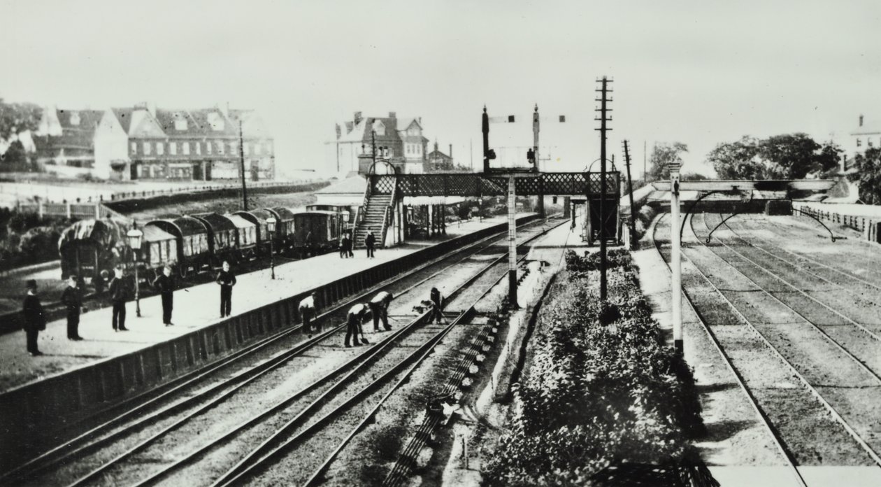 Grove Park Station: ulkoa ja laiturit, 1888 tekijältä English Photographer