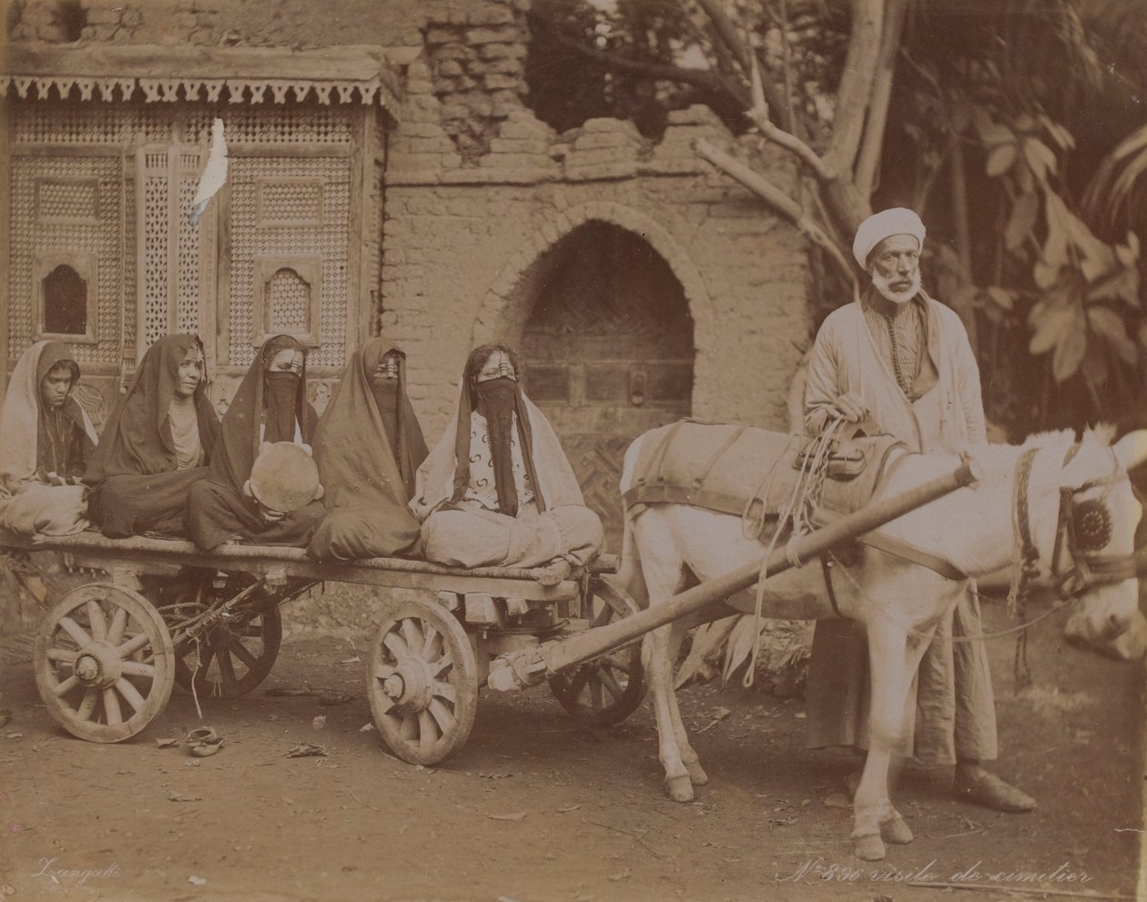 Hevoskärryt, Kairo, 1893 tekijältä English Photographer