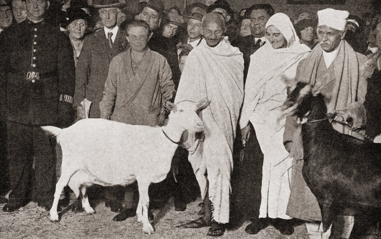 Mahatma Gandhi saapuu Lontooseen Englantiin vuonna 1931 opetuslapsensa Madeleine Sladen ja kahden vuohen kanssa vuonna 1935 julkaistusta The Story of Twenty Five Years -sarjasta. tekijältä English Photographer