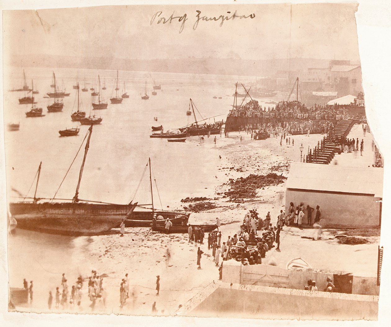Sansibarin satama Henry Morton Stanleyn albumilta tekijältä English Photographer
