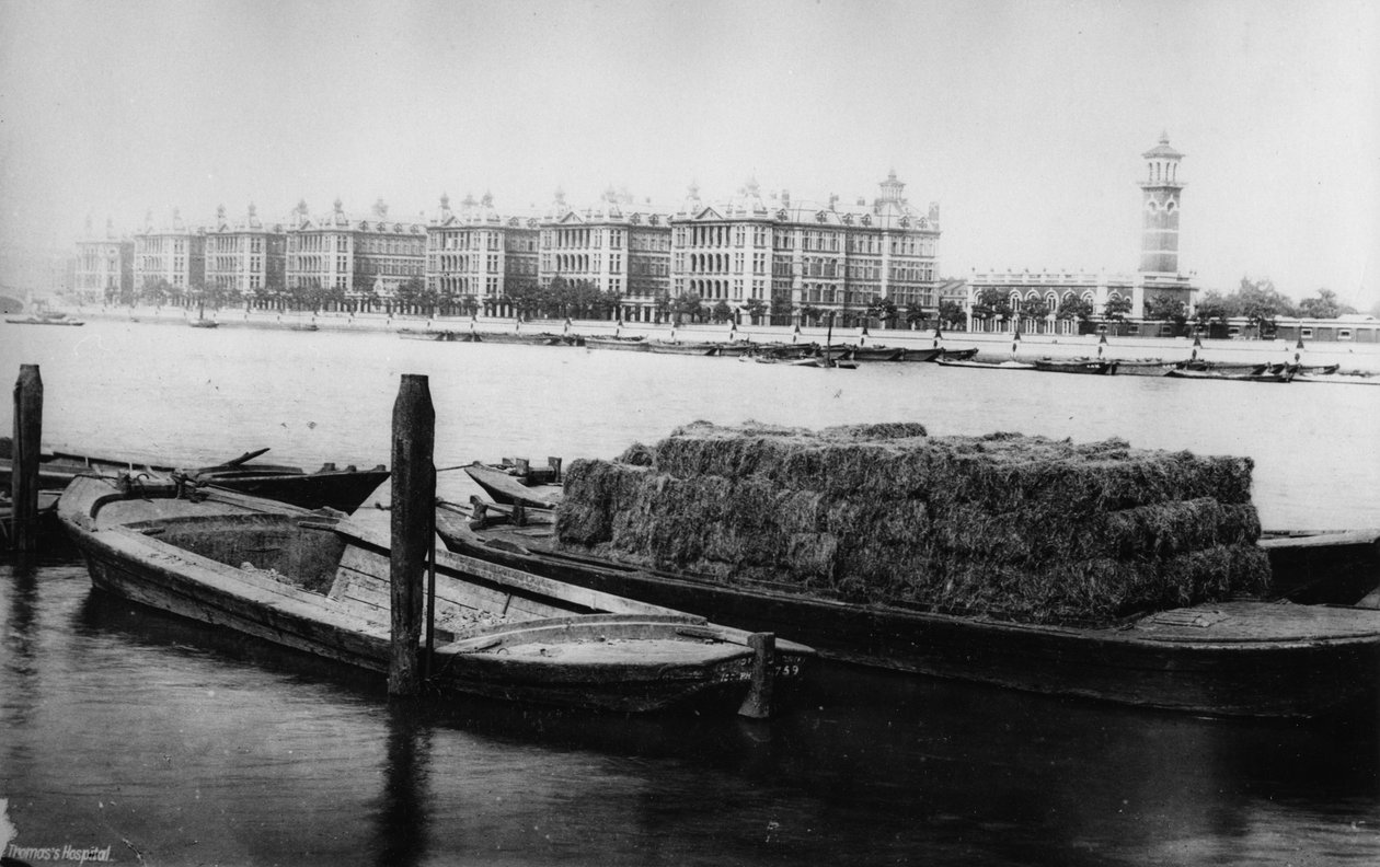 St Thomasin sairaala, Albert Embankment, myöhään 19. päivä tekijältä English Photographer