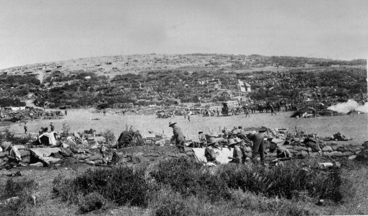 Suvla Bay, Gallipoli at Chocolate Hill, n. 1915 tekijältä English Photographer