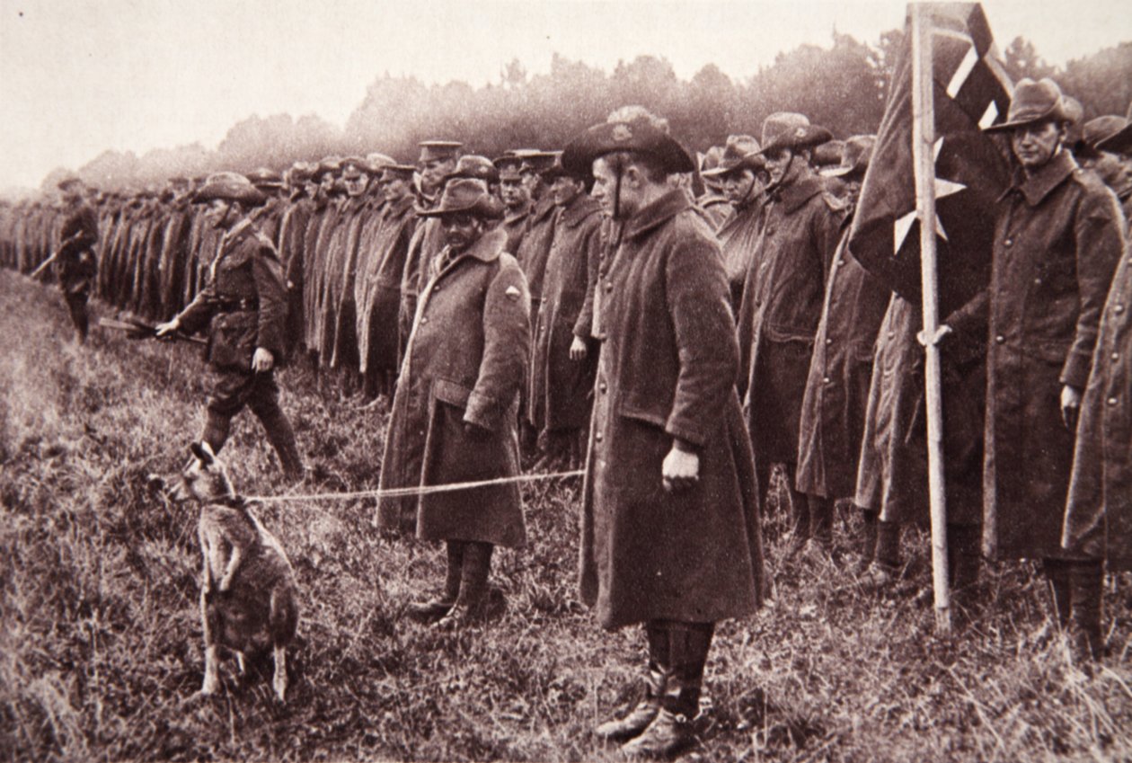 Anzac-arvostelu Salisbury Plainilla: australialainen maskotti, kuvitus The Illustrated War Newsista, 27. syyskuuta 1916 (seepiakuva) tekijältä English Photographer