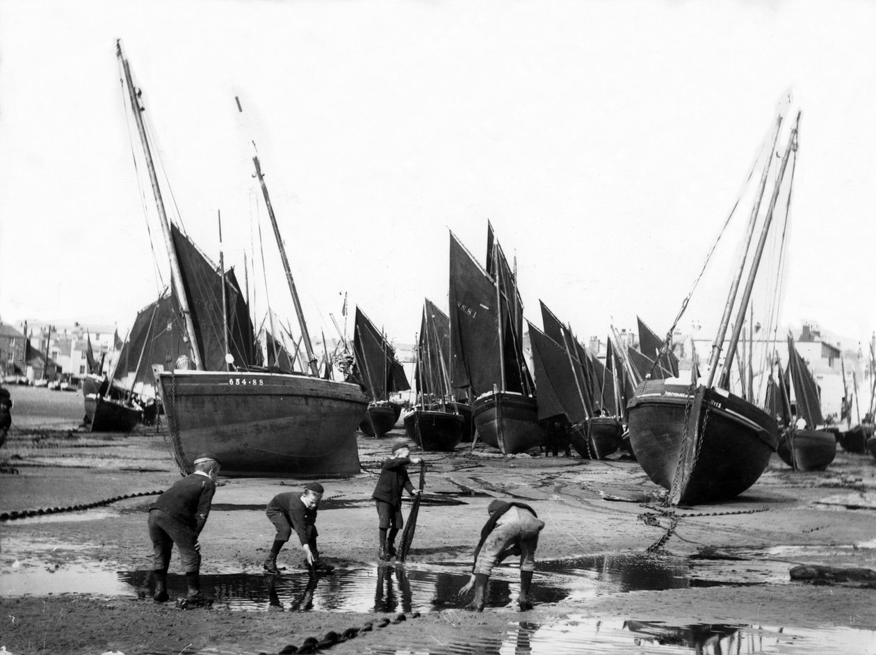 Kalastuslaivasto St Ives Harbourissa, n. 1880-1899 tekijältä English Photographer