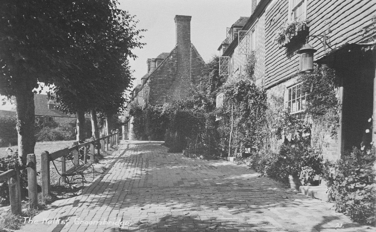 The Walks, Groombridge tekijältä English Photographer