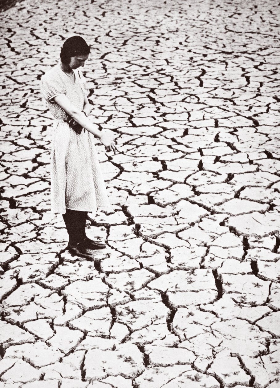 Tring Reservoir, Hertfordshire, 1934 tekijältä English Photographer
