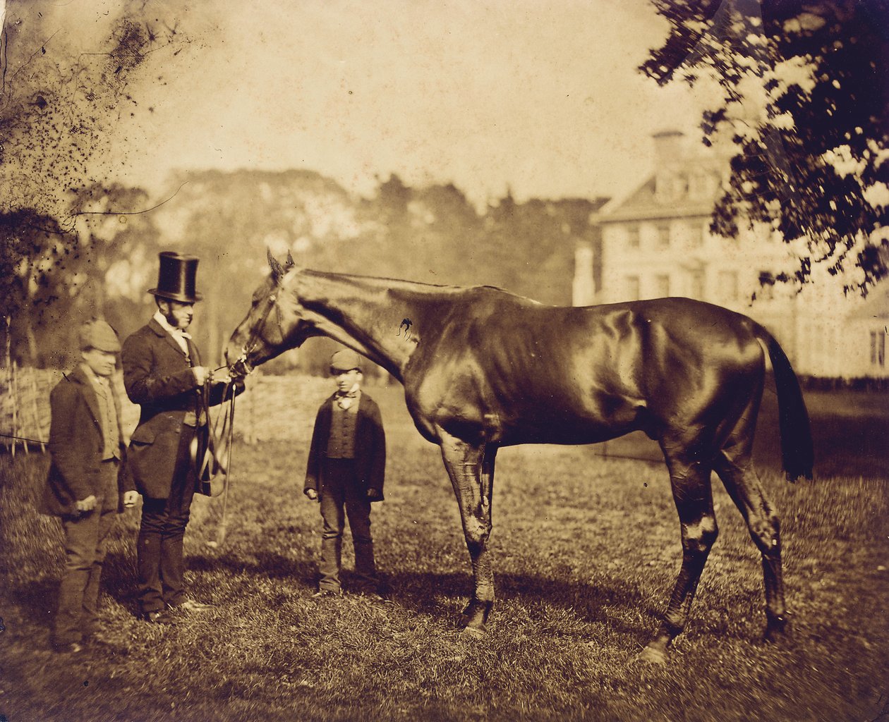 Wild Dayrell, Derbyn voittaja vuonna 1856 tekijältä English Photographer