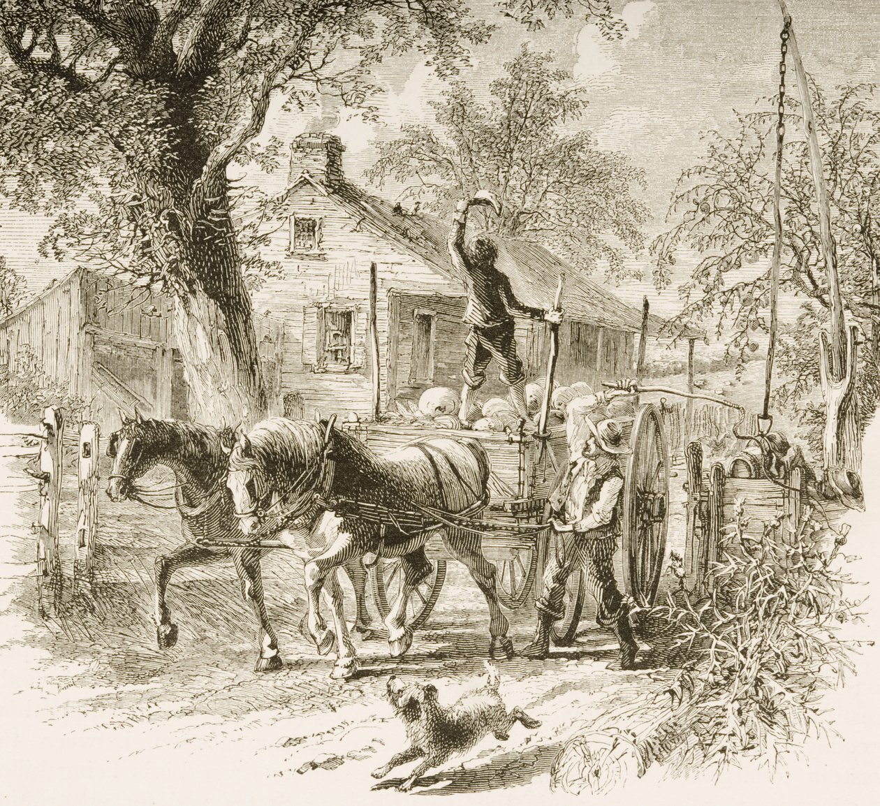 Homestead Kansasissa, American Picturesista, julkaisija The Religious Tract Society, 1876 tekijältä English School