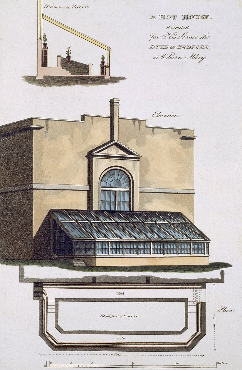 Hot House teloitettiin hänen Grace the Duke of Bedfordilleen Woburn Abbeyssa, 1806 tekijältä English School