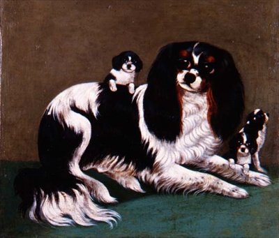 King Charles Spaniel -perhe, Provincial School tekijältä English School
