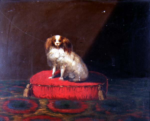 King Charles Spaniel punaisella tyynyllä, Provincial School tekijältä English School
