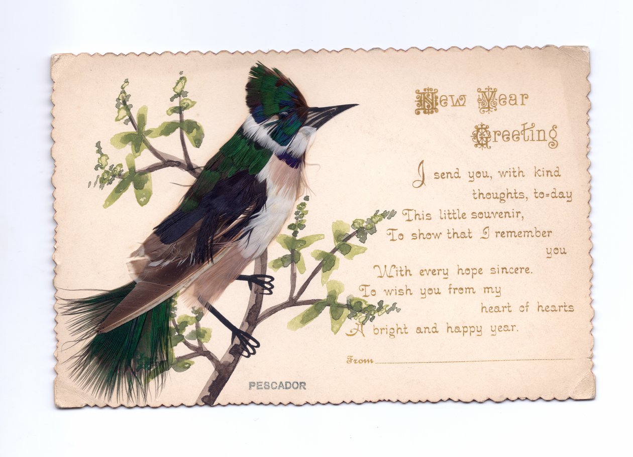 Höyhenistä tehty kuningaskalastajan uudenvuoden onnittelukortti, joka on kiinnitetty käsinmaalatuun puuhun, noin 1900 tekijältä English School