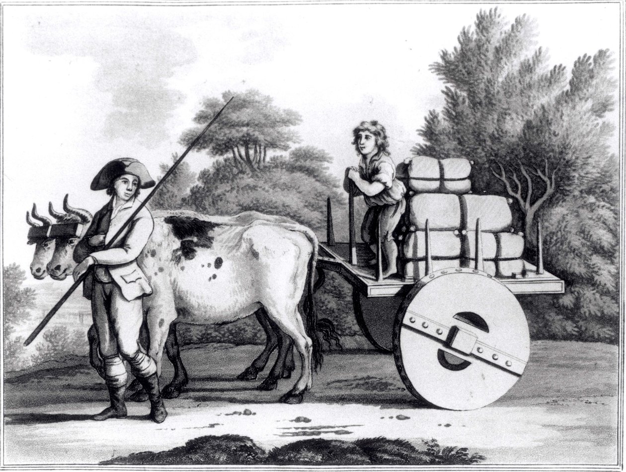 Portugalilainen maatila, James Murphyn teoksesta Yleiskuva Portugalin osavaltiosta, julkaistu 1797 tekijältä English School