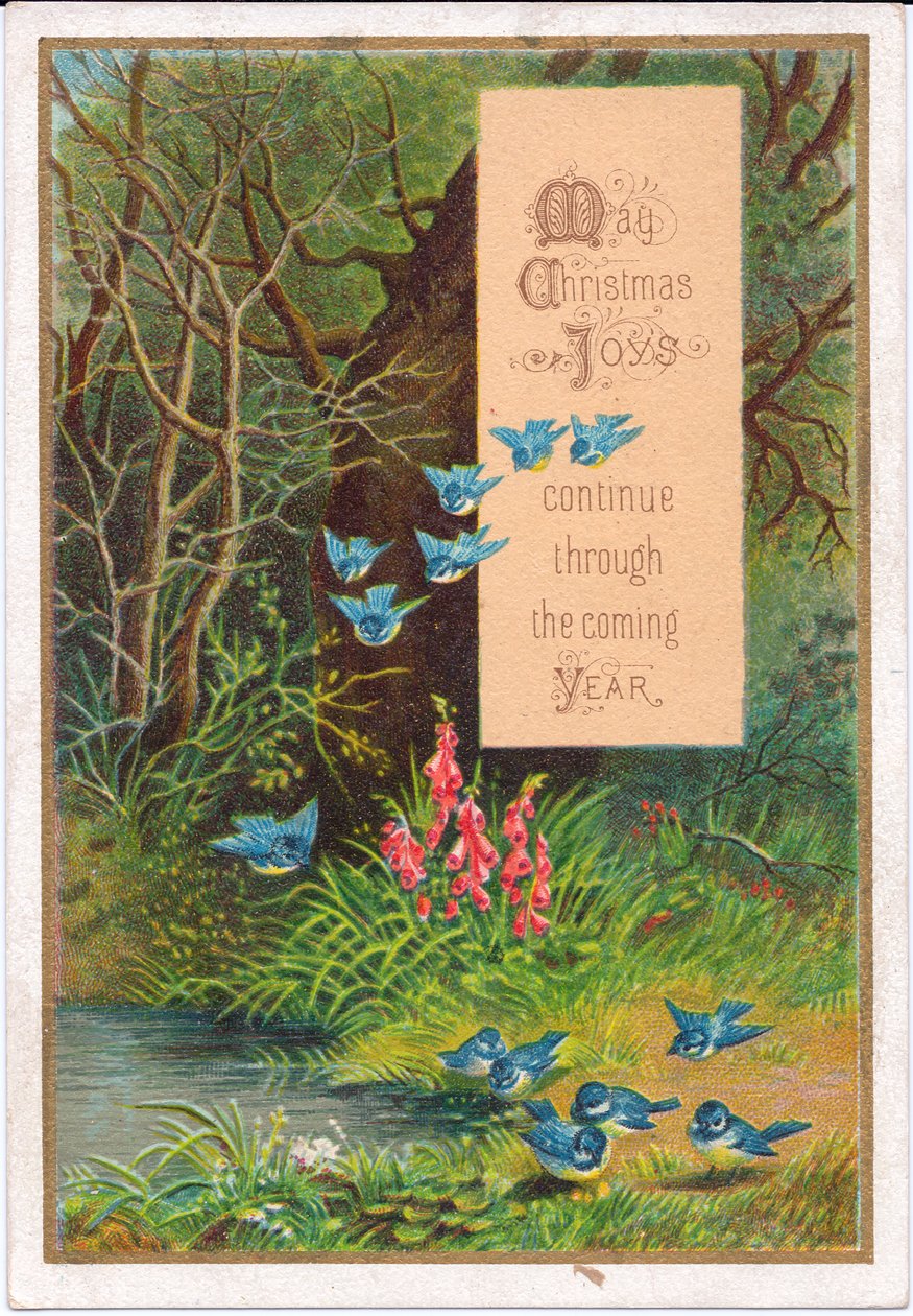 Viktoriaaninen joulukortti sinisistä linnuista metsässä, n. 1880 (värilitho) tekijältä English School