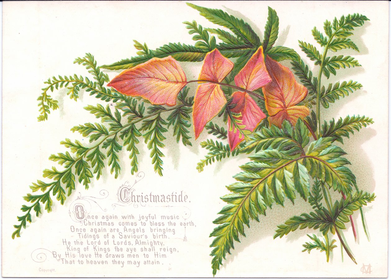 Viktoriaaninen joulukortti, jossa on saniaisia, n. 1880 tekijältä English School