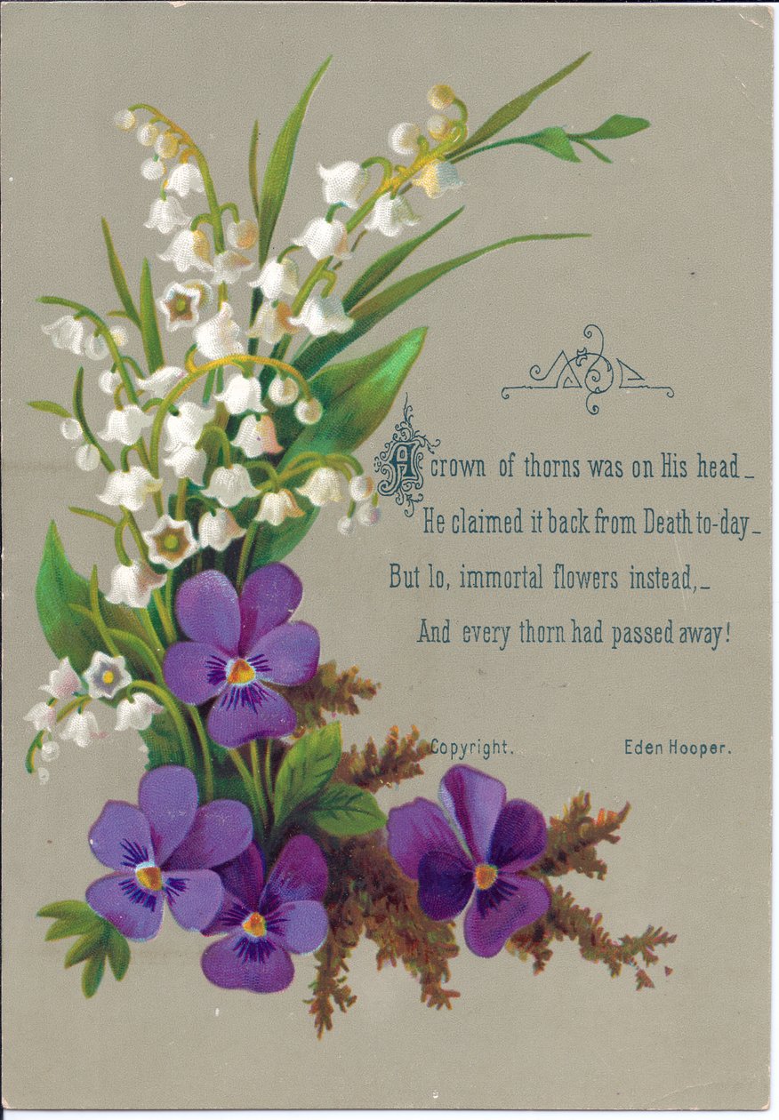 Viktoriaaninen onnittelukortti violeteista ja lumikelloista, noin vuodelta 1880 tekijältä English School