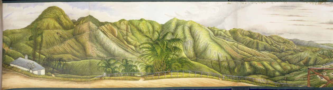 Näkymä Kingstoniin sotilasparantolasta Newcastlessa, Blue Mountainsissa, Jamaikalla, 1855 (wc ja guassi kankaalle asetettu paperille) tekijältä English School