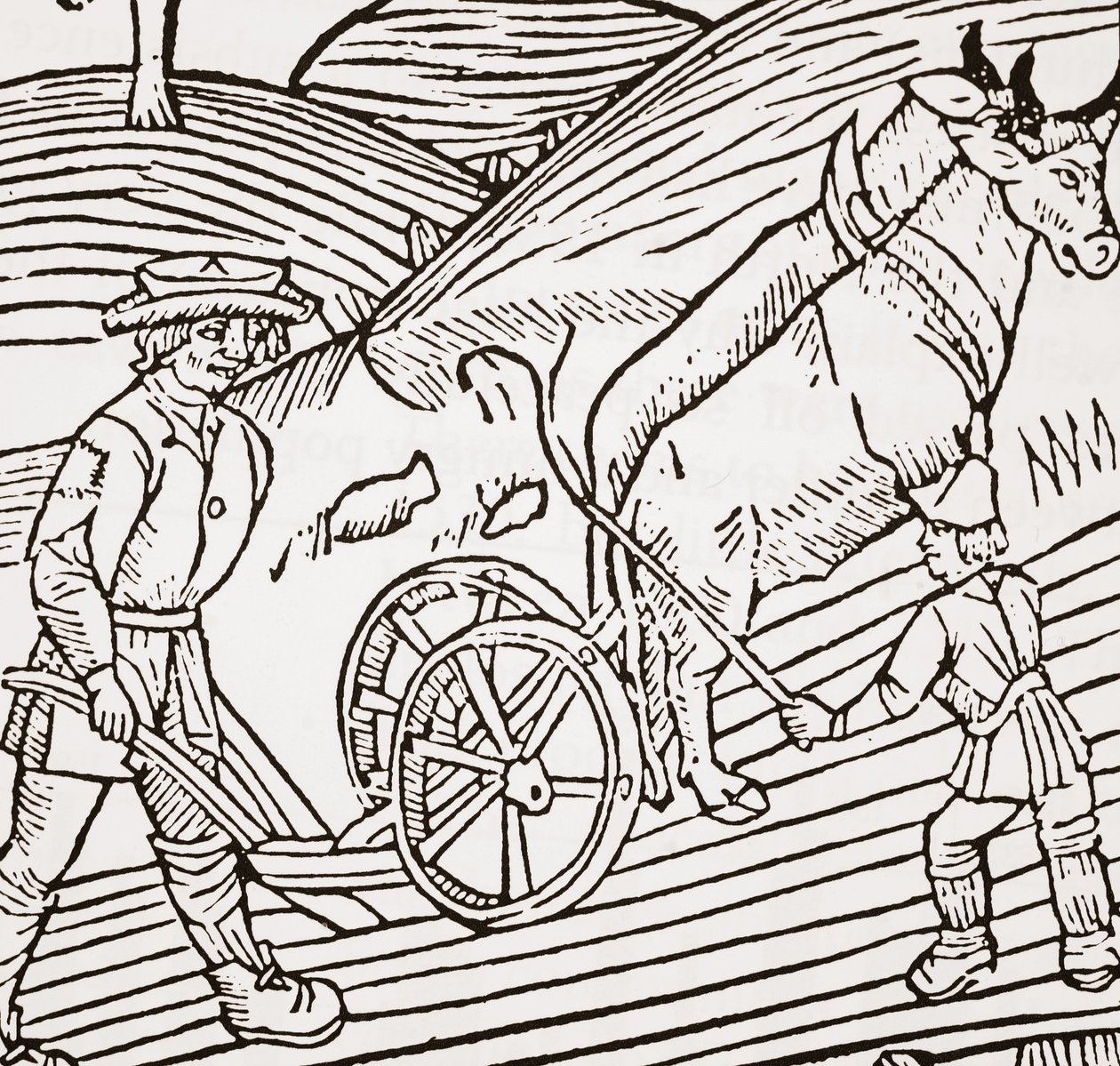 Auraan kiinnitetty härkäpari, otsikkosivu John Fitzherberts Boke of Husbandrysta, ensimmäinen pubi. 1523 tekijältä English School
