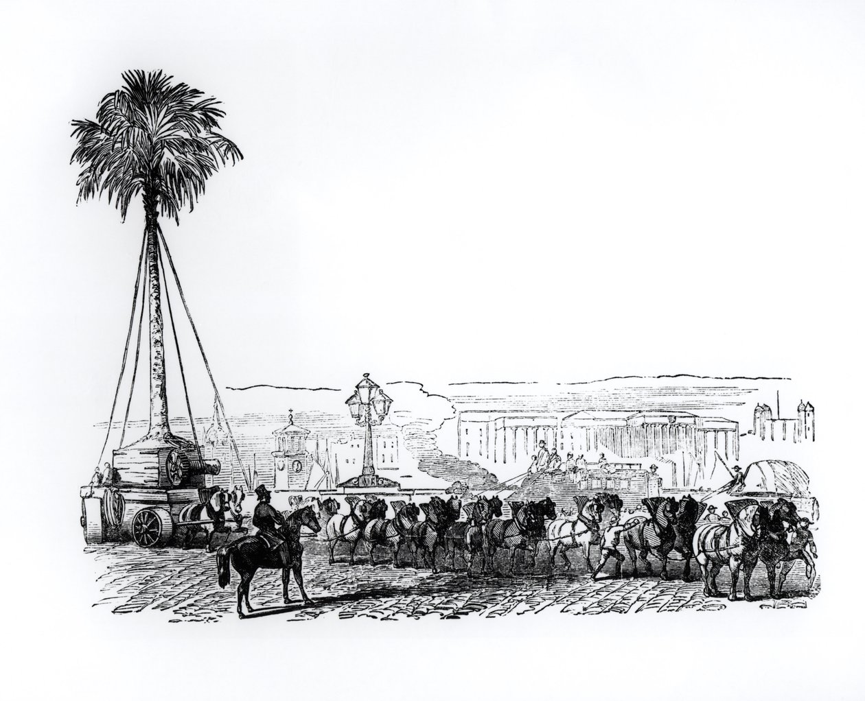 Palmua kuljetetaan Hyde Parkiin Lontoon suurta näyttelyä varten, 1851 tekijältä English School