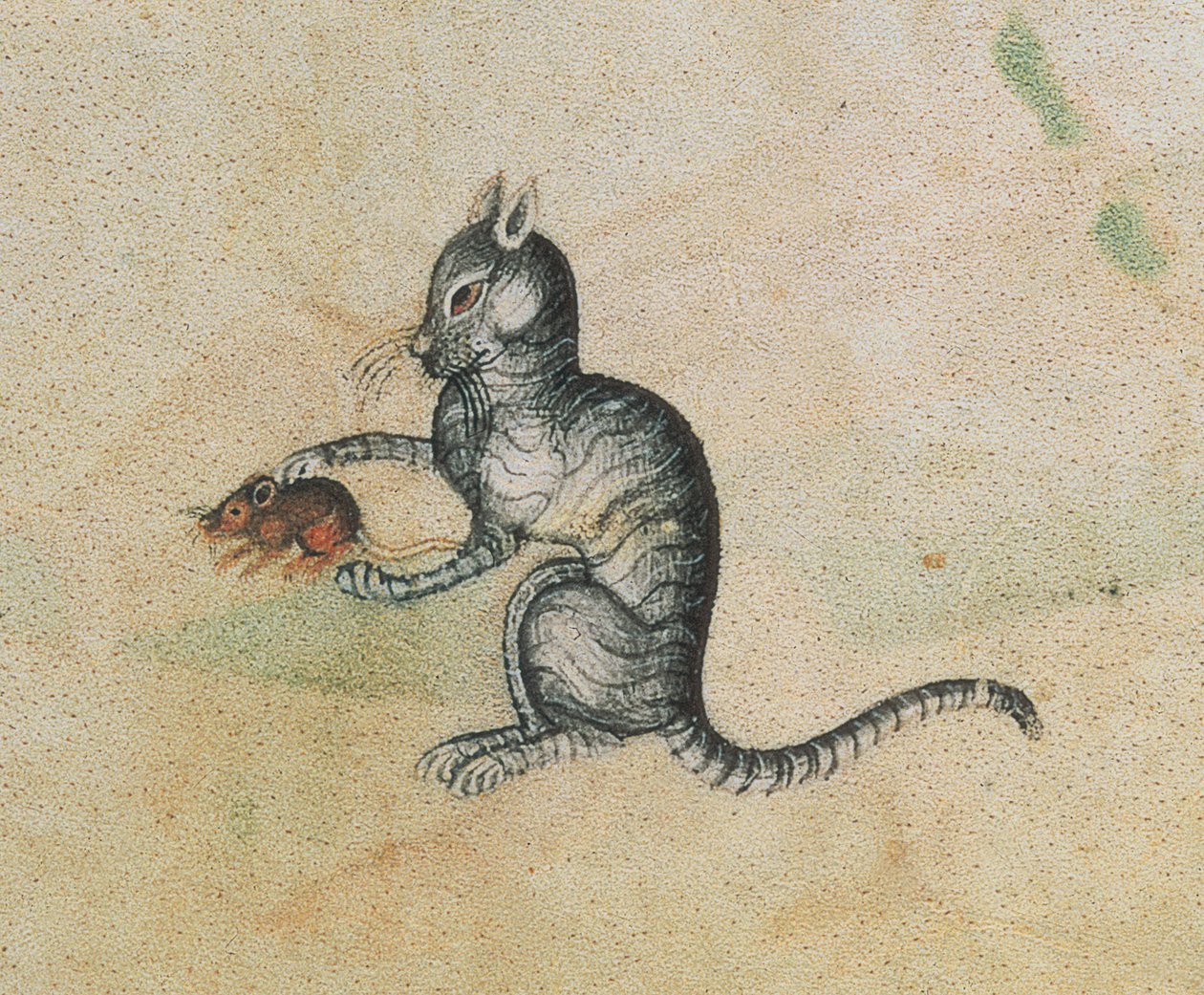 Afegeix 42130 f.190 Un gat domèstic jugant amb un ratolí, del Salteri Luttrell, iniciat abans de 1340 per a Sir Geoffrey Luttrell (1276-1345) (detall de 55684)finès tekijältä English School
