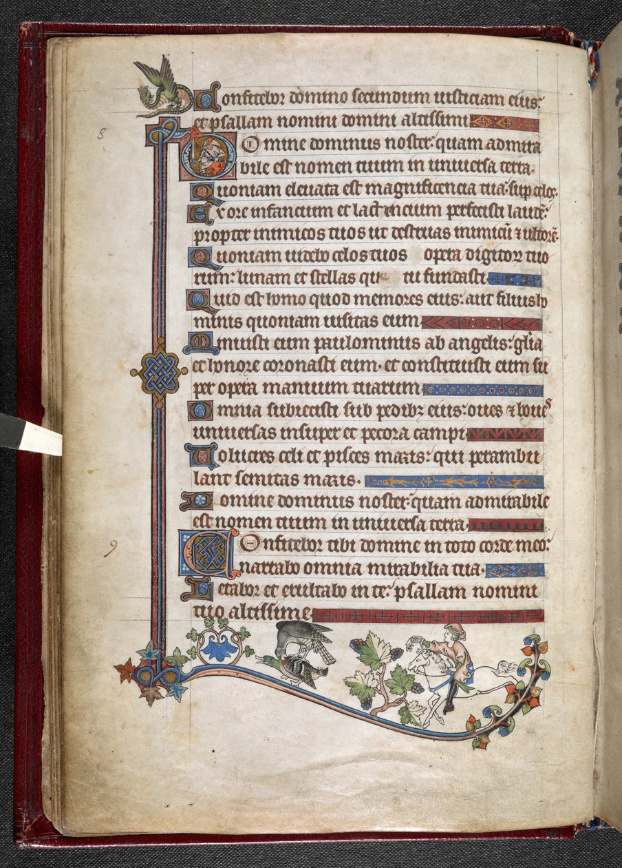 Lisää MS 24686, f.14v, Poika ponilla haukkojen metsästysankan kanssa, n. 1284-1316 (vellum) tekijältä English School