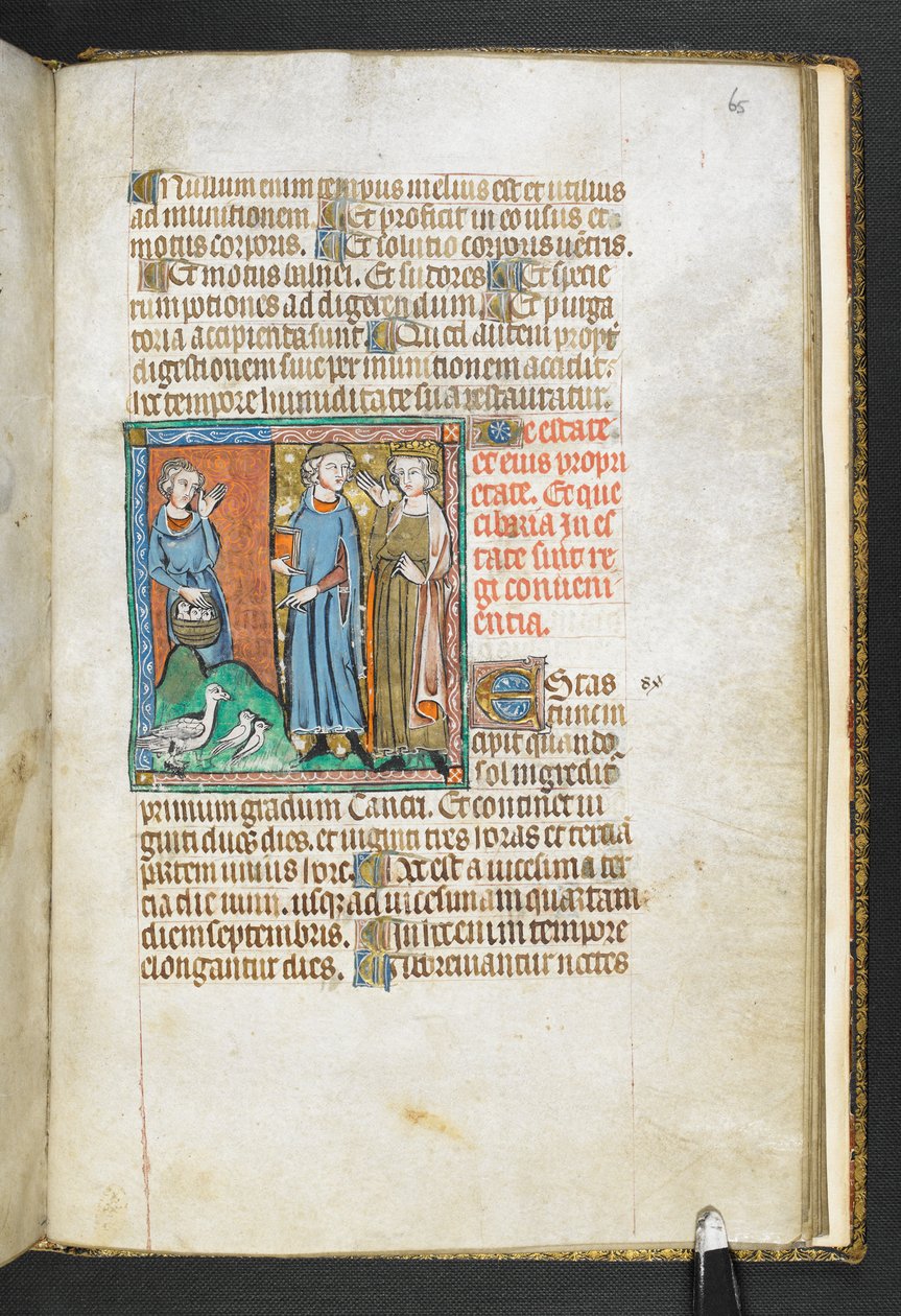 Lisää MS 47680, f.65r Aristoteles osoittaen kuninkaalle tuotuja lintuja, Secretum Secretorum, n. 1326-27 (vellum) tekijältä English School