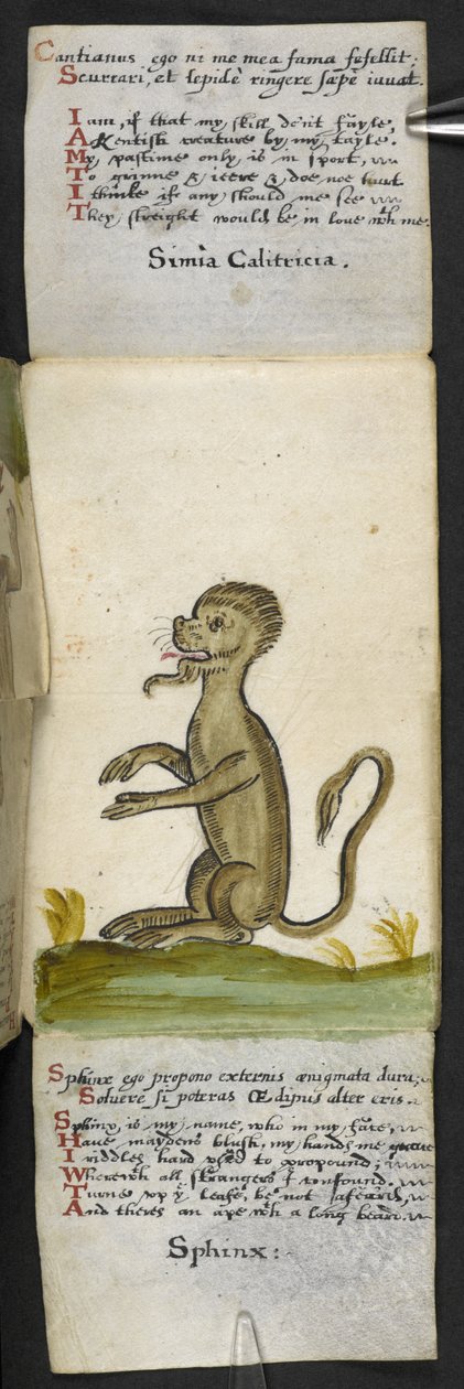 Lisää MS 57312 f.14 -pelikirja (muste ja väri velumissa) tekijältä English School