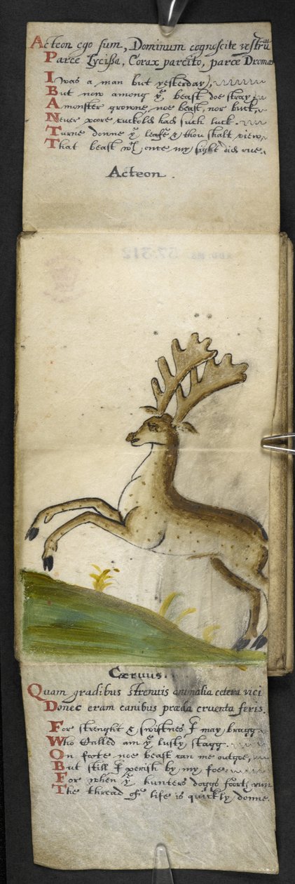 Lisää MS 57312 f.15 -pelikirja (muste ja väri velumissa) tekijältä English School