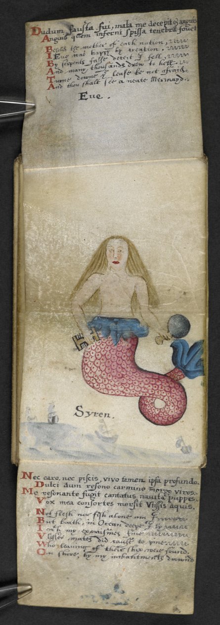 Lisää MS 57312 f.2 -pelikirja (muste ja väri velumissa) tekijältä English School