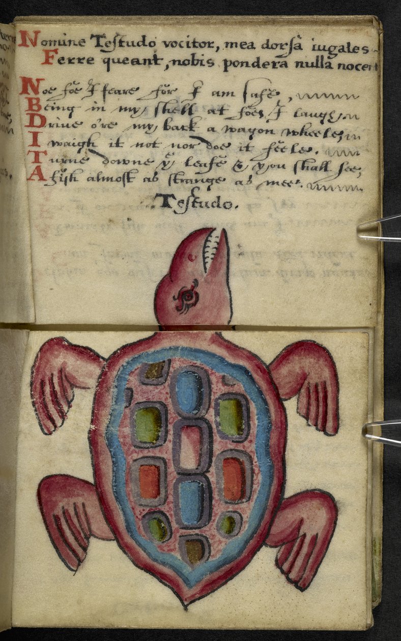 Lisää MS 57312 f.5 -pelikirja (muste ja väri velumissa) tekijältä English School