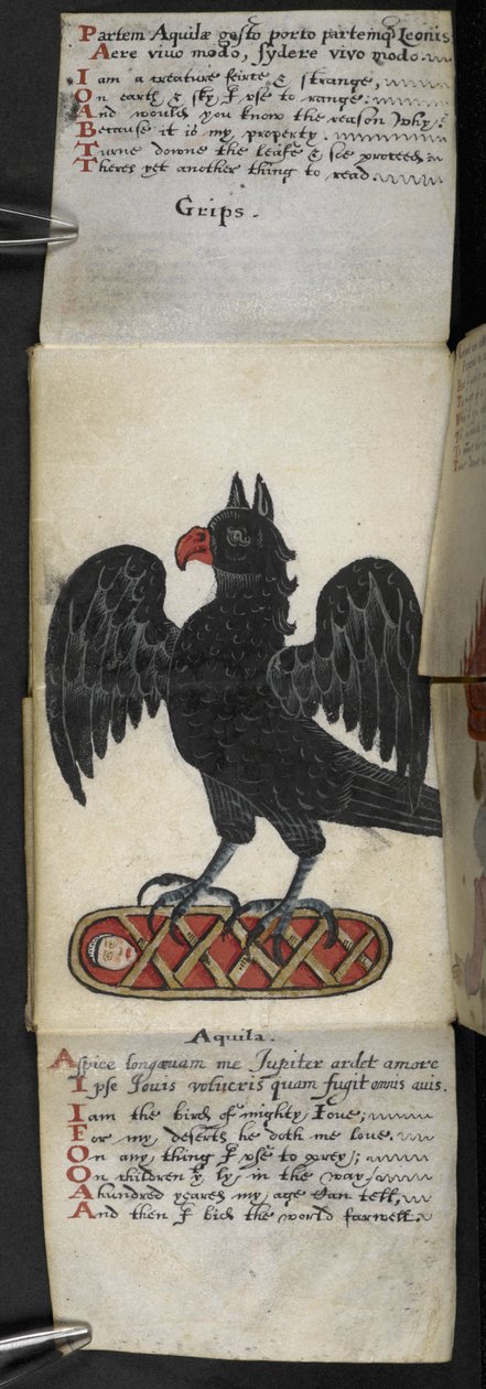 Lisää MS 57312 f.8 -pelikirja (muste ja väri vellum) tekijältä English School