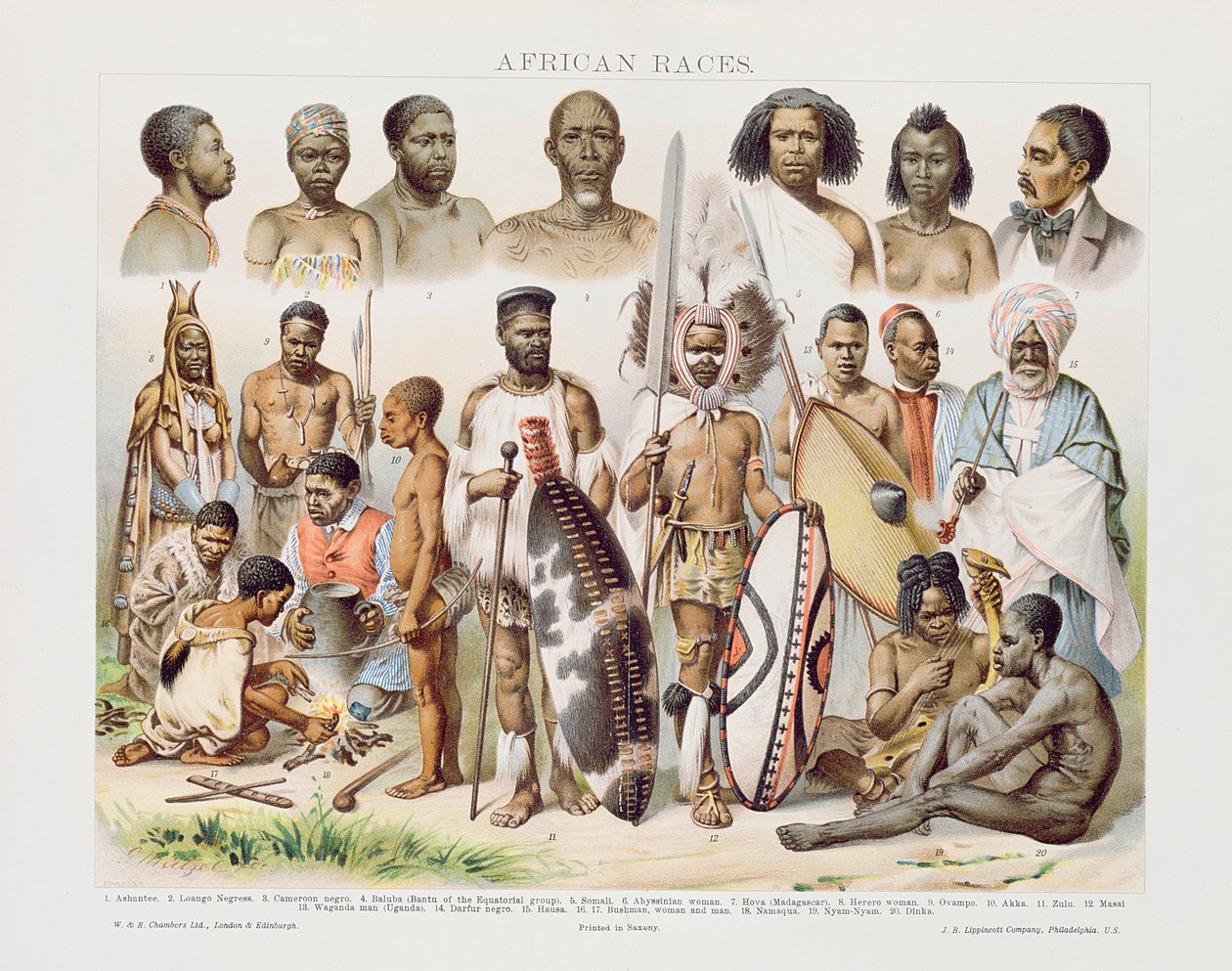 African Races (värikaiverrus) tekijältä English School