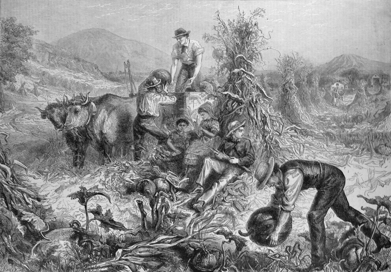 American Husbandry: Gathering Pumpkins and Kusking Maize, 