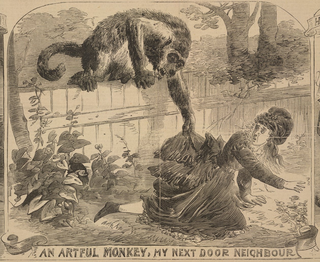 "An Artful Monkey, My Next Door Neighbour", kuvitus "Illustrated Police Newsista", 24. elokuuta 1872 (litho) tekijältä English School