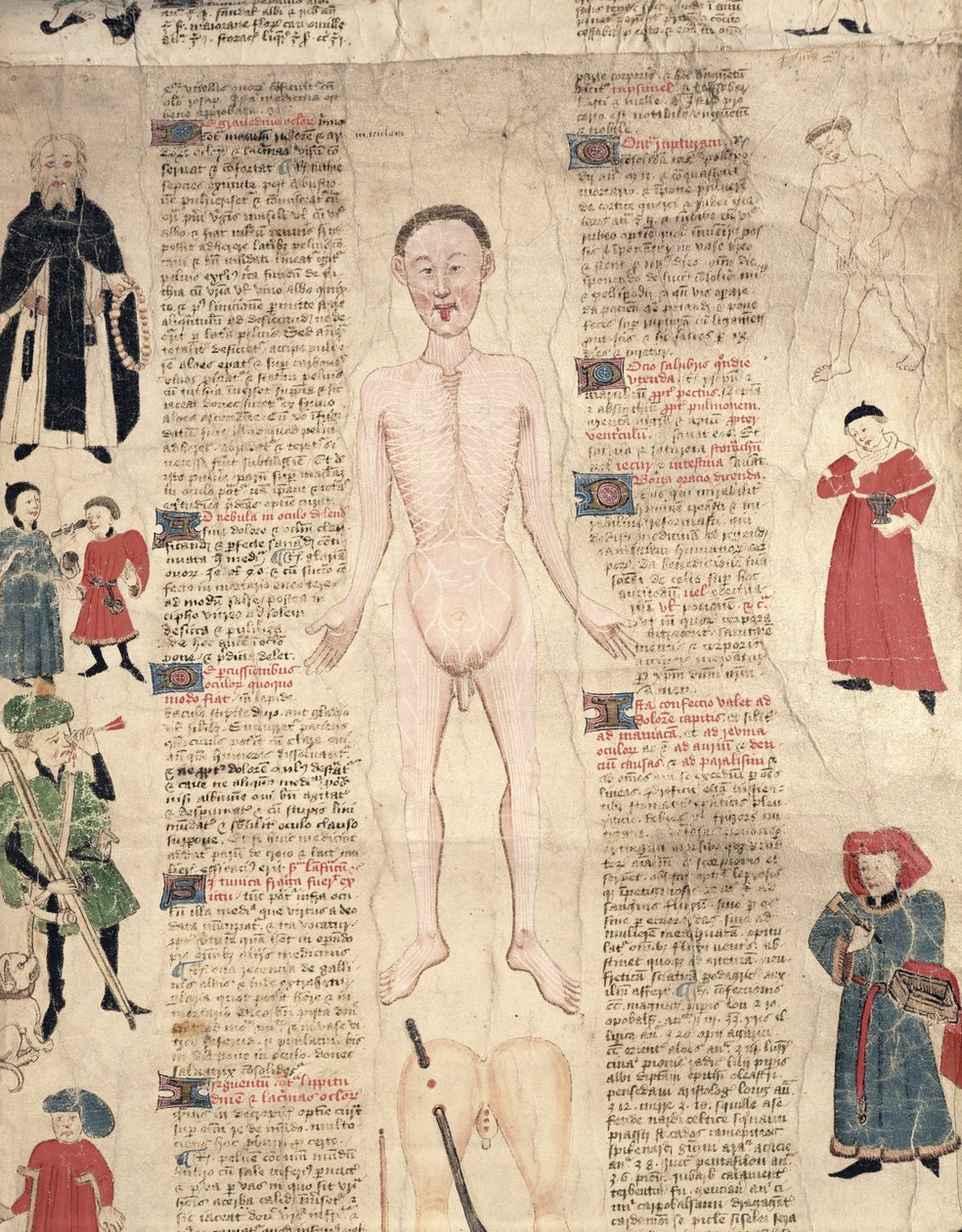 Anatominen kaavio, John Ardenen teoksesta De arte phisicali e de cirugia, 1412 tekijältä English School