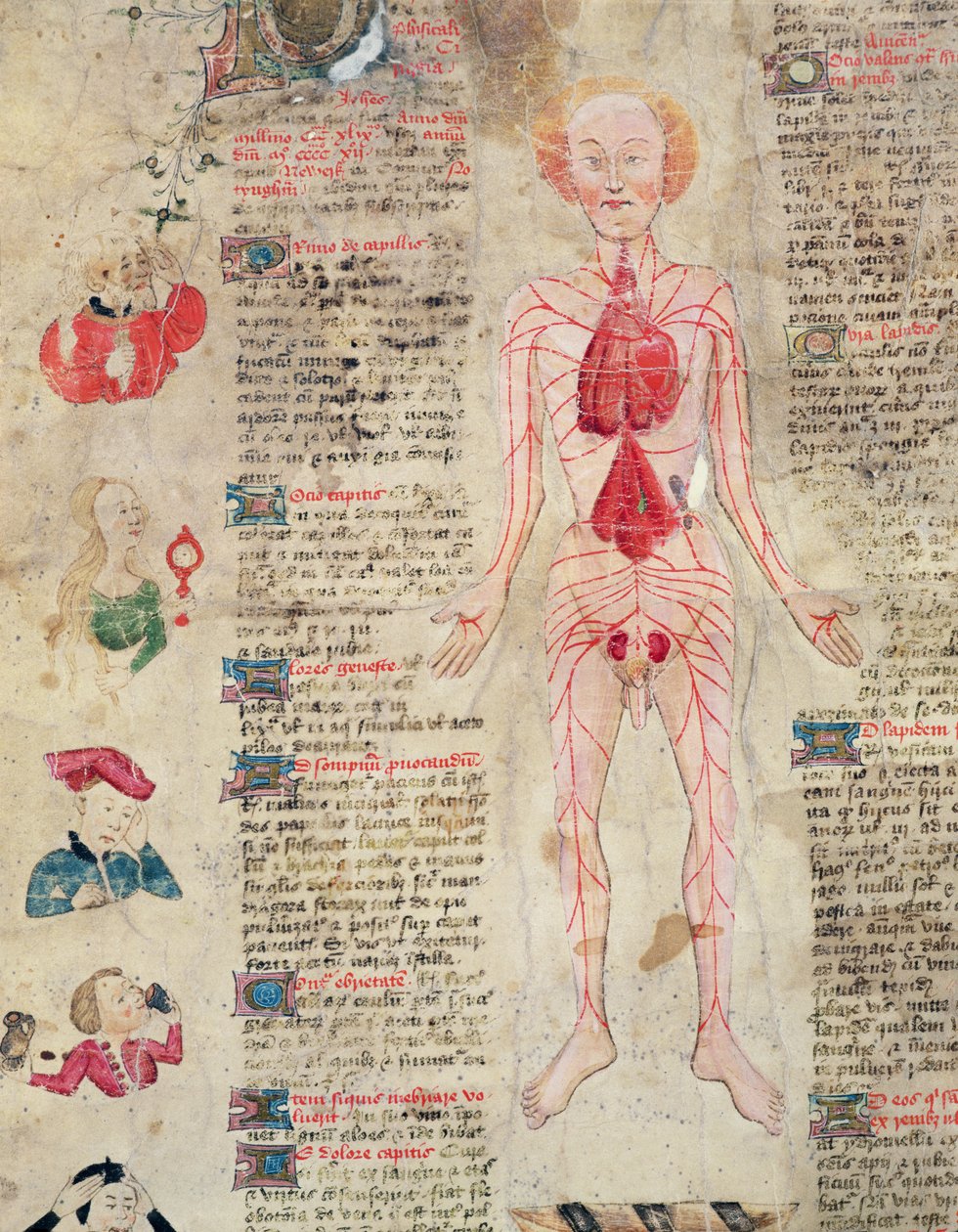 Anatominen kaavio, John Ardernen De arte phisicali e de cirugia, 1412 tekijältä English School
