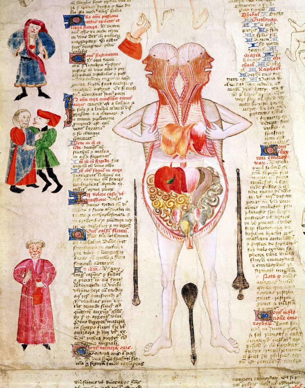 Anatominen kaavio John Ardernen teoksesta "De arte phisicali e de cirurgia". tekijältä English School