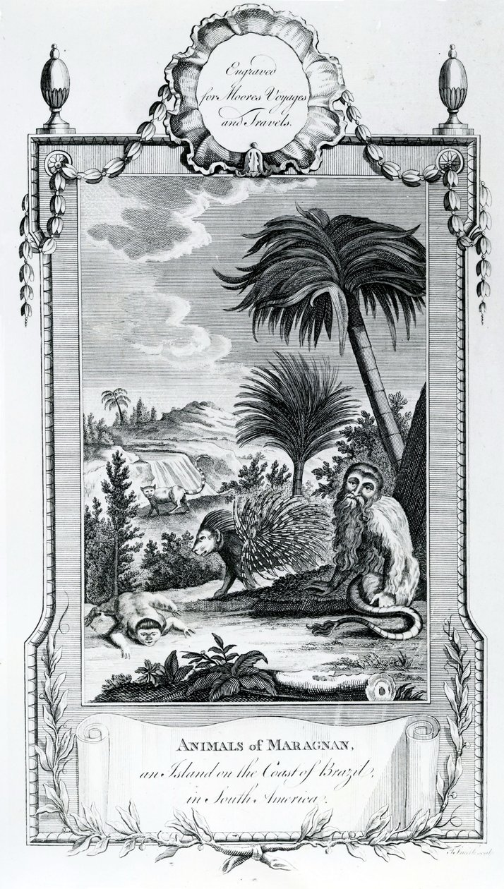 Animals of Maragnan, kuva otettu Moores Voyages and Travels -julkaisusta, 1778 tekijältä English School