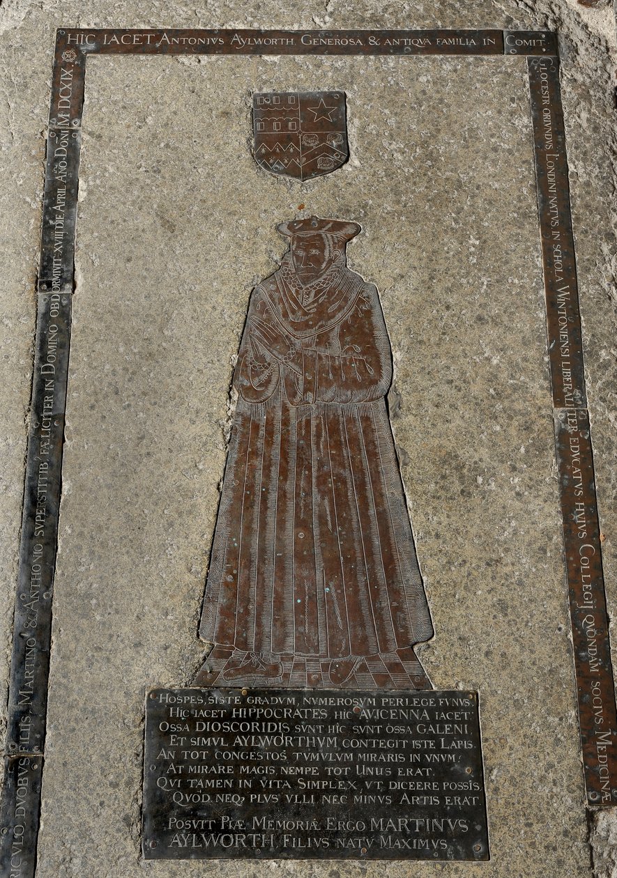 Anthony Aylworth, 1619 (messinki) (katso lisätietoja numerosta 434814) tekijältä English School